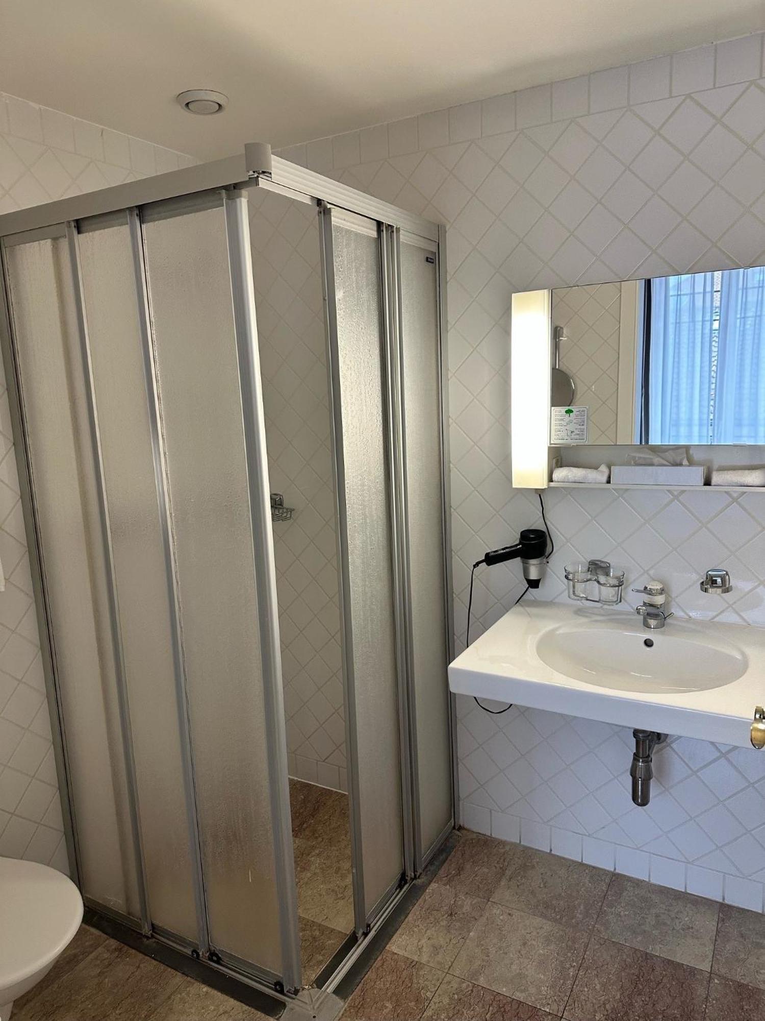 Hotel Des Alpes Ньйон Екстер'єр фото